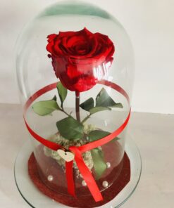 Örökrózsa búrában